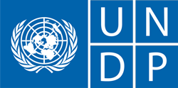 UNDP logo 1